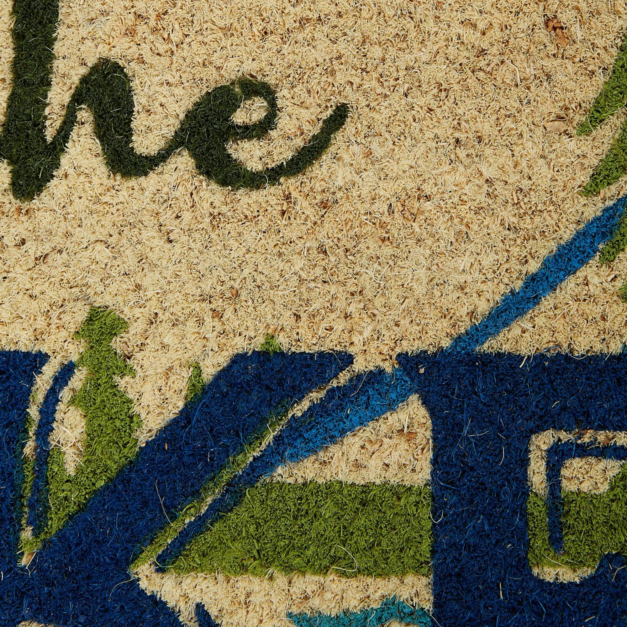 DII® Jump in the Lake Doormat